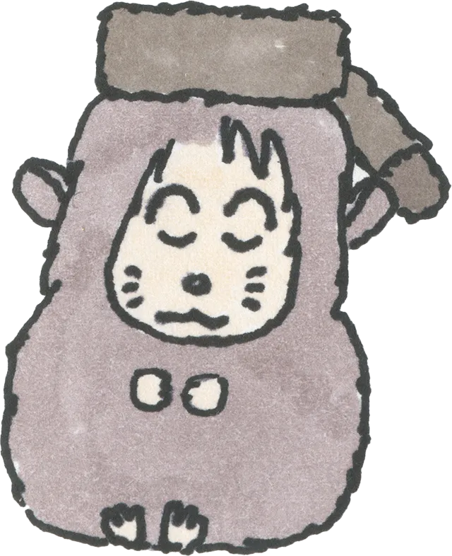 chinchilla in a raccoon hat.