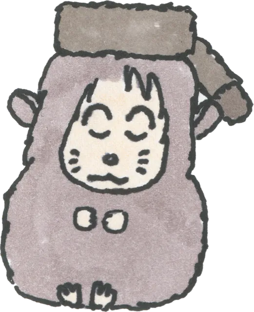 chinchilla in a raccoon hat.