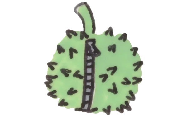 little conker leaving it's shell.