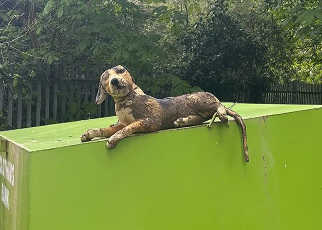 spooky looking stuffed dog toy.